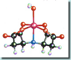 MolecularIDHA.