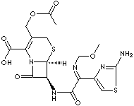 CEFOTAXIME