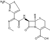 CEFETAMET