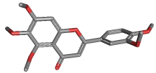 SINENSETIN