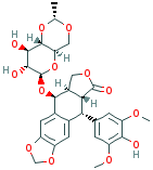 ETOPOSIDE