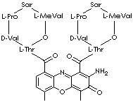 DACTINOMYCIN