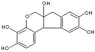 HEMATOXYLIN