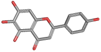 SCUTELLAREIN