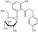 PHLORHIZIN