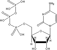 CYTIDINE-5'-TRIPHOSPHATE